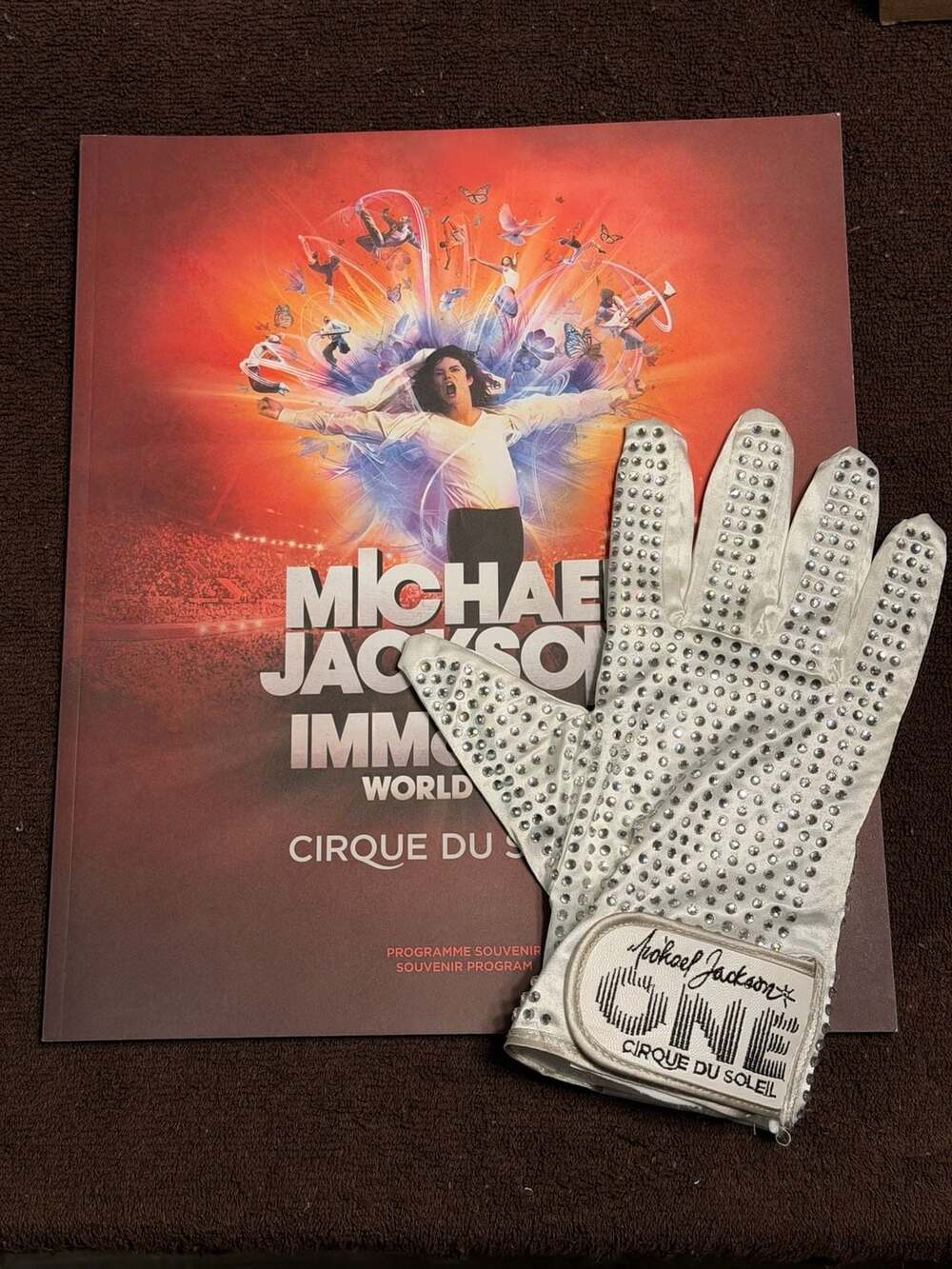 Michael Jackson ONE Cirque du Soleil Glove and Immortal World Tour Program